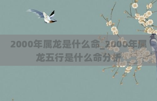 2000年属龙是什么命_2000年属龙五行是什么命分析