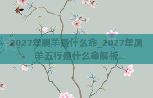 2027年属羊是什么命_2027年属羊五行是什么命解析