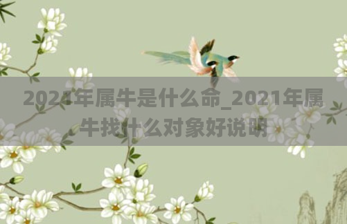 2021年属牛是什么命_2021年属牛找什么对象好说明