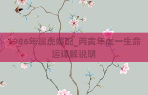 1986年属虎婚配_丙寅年虎一生命运详解说明