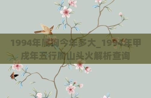 1994年属狗今年多大_1994年甲戌年五行属山头火解析查询