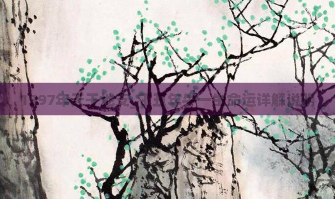 1997年天干地支_丁丑年牛一生命运详解说明