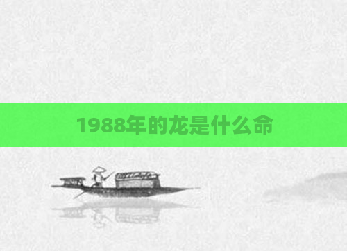 1988年的龙是什么命