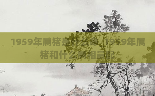 1959年属猪是什么命_1959年属猪和什么属相最配