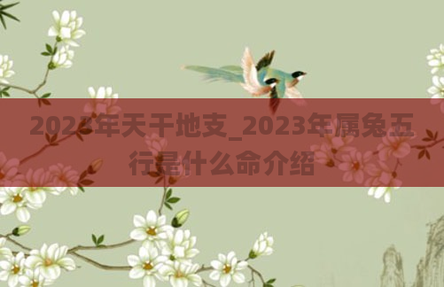 2023年天干地支_2023年属兔五行是什么命介绍