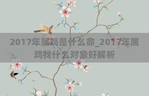 2017年属鸡是什么命_2017年属鸡找什么对象好解析