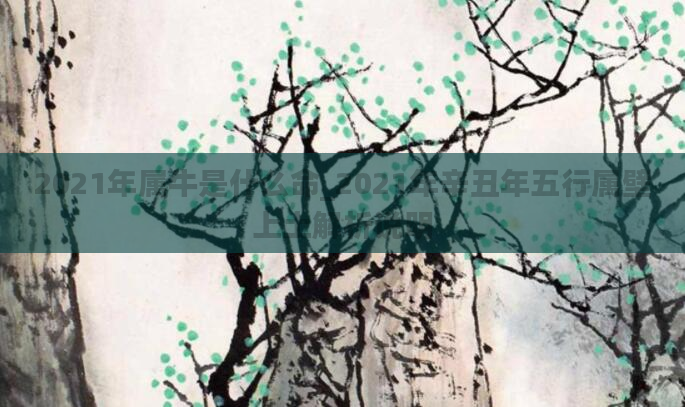 2021年属牛是什么命_2021年辛丑年五行属壁上土解析说明