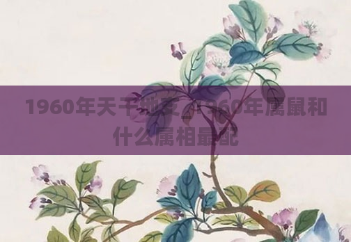 1960年天干地支_1960年属鼠和什么属相最配