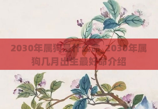 2030年属狗是什么命_2030年属狗几月出生最好命介绍