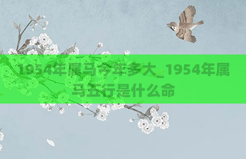 1954年属马今年多大_1954年属马五行是什么命