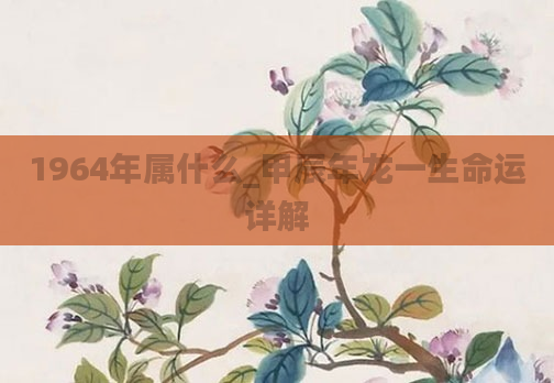 1964年属什么_甲辰年龙一生命运详解