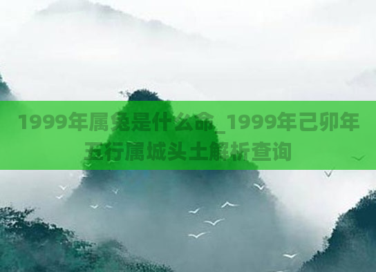 1999年属兔是什么命_1999年己卯年五行属城头土解析查询