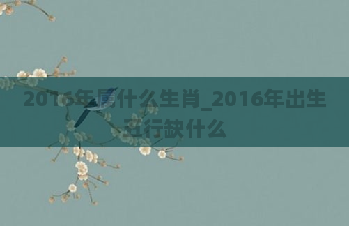 2016年属什么生肖_2016年出生五行缺什么