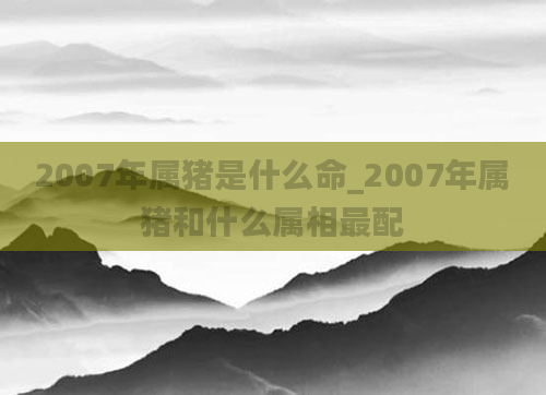 2007年属猪是什么命_2007年属猪和什么属相最配