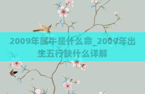 2009年属牛是什么命_2009年出生五行缺什么详解