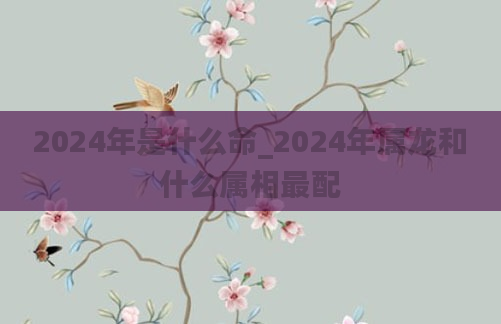 2024年是什么命_2024年属龙和什么属相最配
