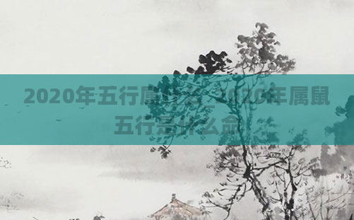 2020年五行属什么_2020年属鼠五行是什么命