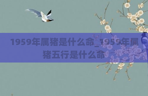 1959年属猪是什么命_1959年属猪五行是什么命