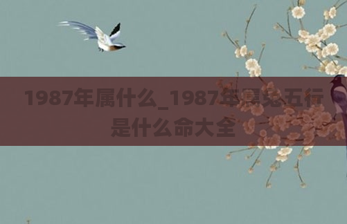 1987年属什么_1987年属兔五行是什么命大全