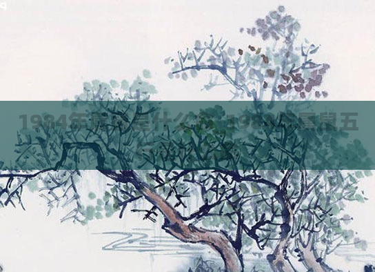 1984年属鼠是什么命_1984年属鼠五行是什么命