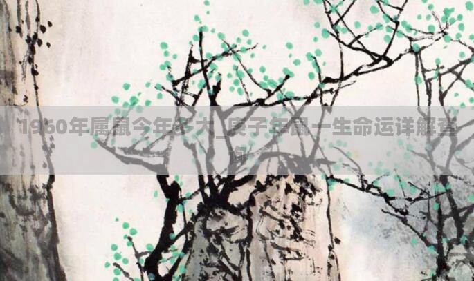 1960年属鼠今年多大_庚子年鼠一生命运详解查询
