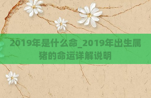 2019年是什么命_2019年出生属猪的命运详解说明
