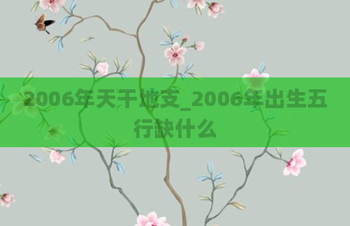2006年天干地支_2006年出生五行缺什么