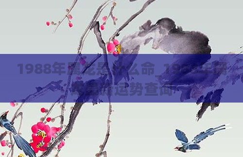 1988年属龙是什么命_1988年属龙最新运势查询