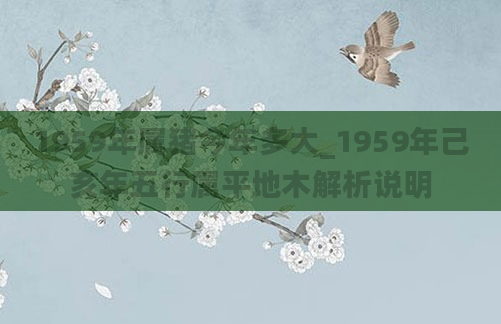 1959年属猪今年多大_1959年己亥年五行属平地木解析说明