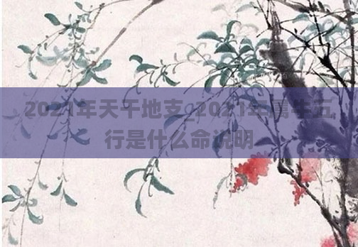 2021年天干地支_2021年属牛五行是什么命说明