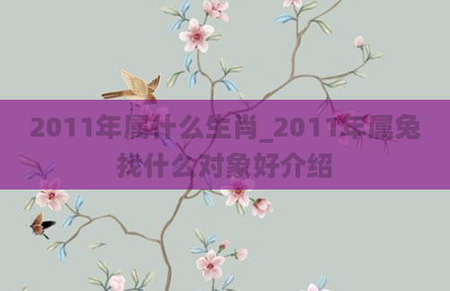 2011年属什么生肖_2011年属兔找什么对象好介绍