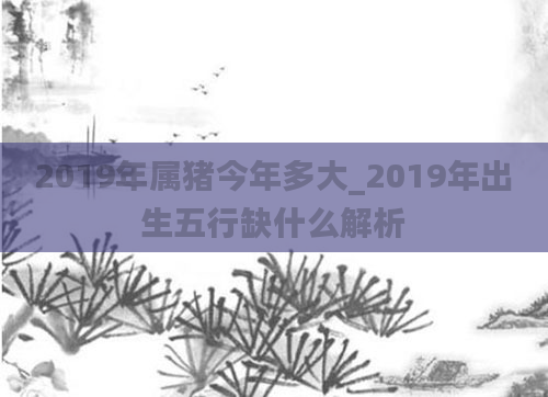 2019年属猪今年多大_2019年出生五行缺什么解析