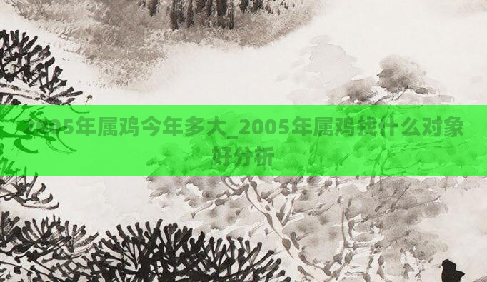 2005年属鸡今年多大_2005年属鸡找什么对象好分析