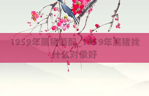 1959年属猪婚配_1959年属猪找什么对象好