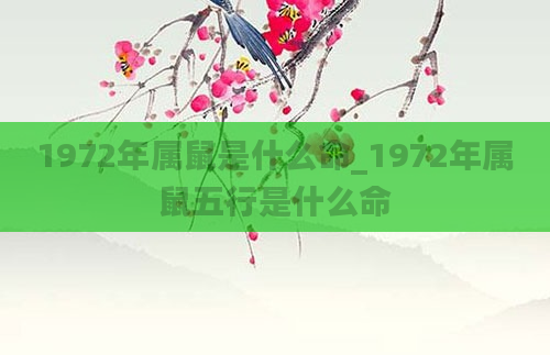 1972年属鼠是什么命_1972年属鼠五行是什么命