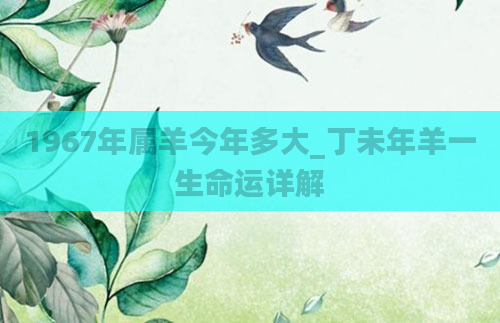 1967年属羊今年多大_丁未年羊一生命运详解