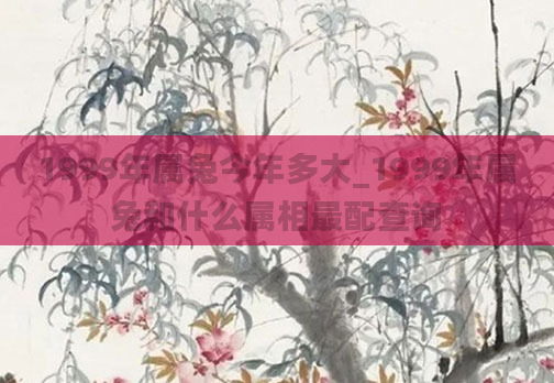 1999年属兔今年多大_1999年属兔和什么属相最配查询