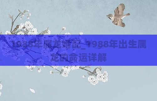 1988年属龙婚配_1988年出生属龙的命运详解