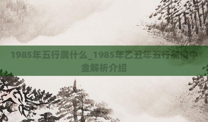 1985年五行属什么_1985年乙丑年五行属海中金解析介绍