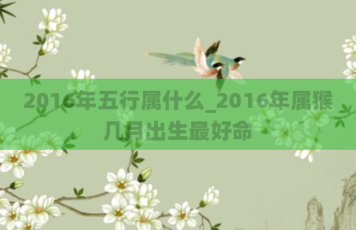 2016年五行属什么_2016年属猴几月出生最好命