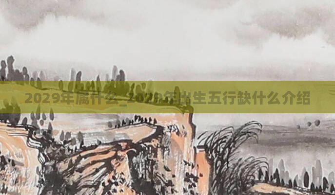 2029年属什么_2029年出生五行缺什么介绍