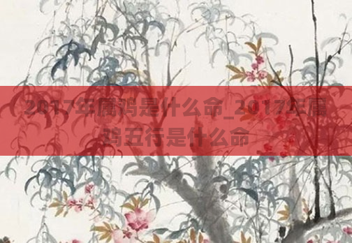 2017年属鸡是什么命_2017年属鸡五行是什么命