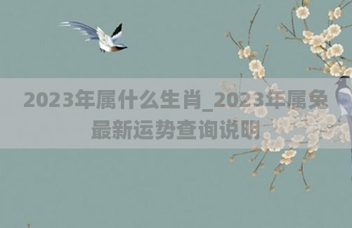 2023年属什么生肖_2023年属兔最新运势查询说明