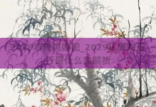 2029年属鸡婚配_2029年属鸡五行是什么命解析