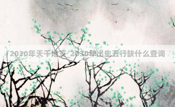 2030年天干地支_2030年出生五行缺什么查询