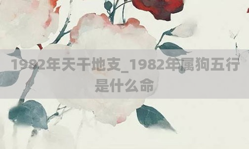 1982年天干地支_1982年属狗五行是什么命