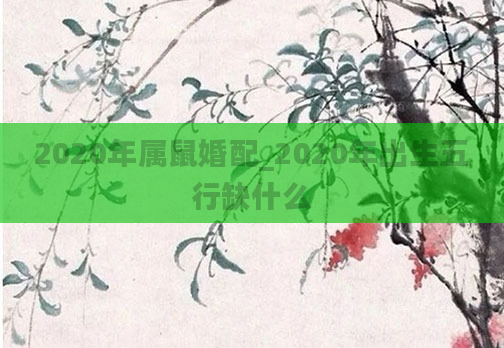2020年属鼠婚配_2020年出生五行缺什么