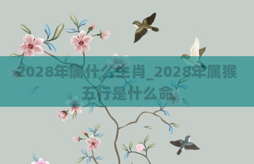 2028年属什么生肖_2028年属猴五行是什么命