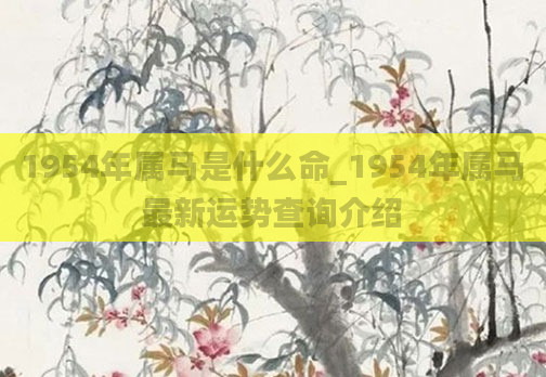 1954年属马是什么命_1954年属马最新运势查询介绍