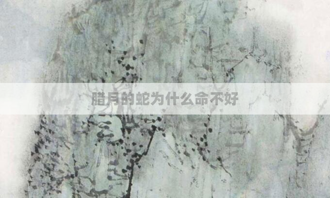 腊月的蛇为什么命不好